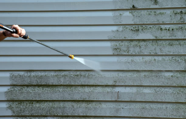 Best Roof Washing  in Fairmount, IN